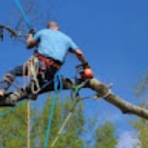 Meet your Posher, Scotty